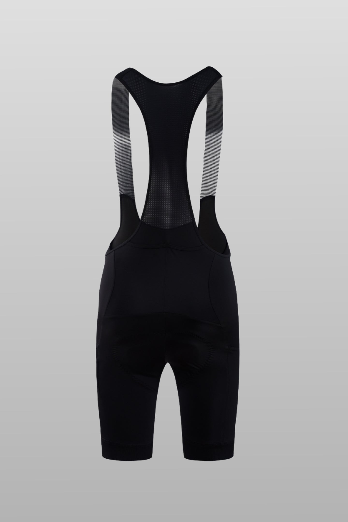 Women's Touring Bibshorts